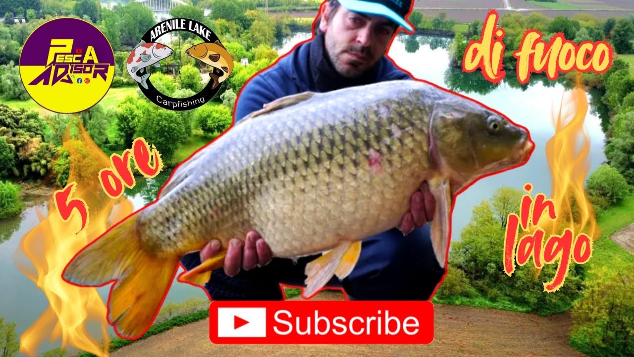 Arenile Lake, Carpfishing 2025 #carpfishing #baits #carp #fishing #carplife #catchandrelease #fish