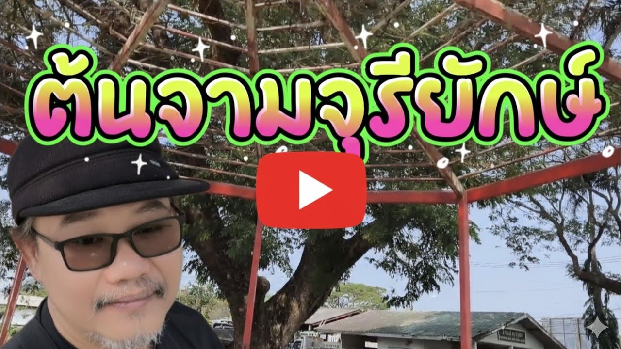 ต้นจามจุรียักษ์