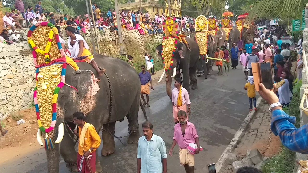 Kottarakara Ganapathy Temple ആനചന്തം, കൊട്ടാരക്കര മഹാഗണപതി ക്ഷേത്രം കെട്ടുകാഴ്ചയിലെ ഗജഘോഷയാത്ര