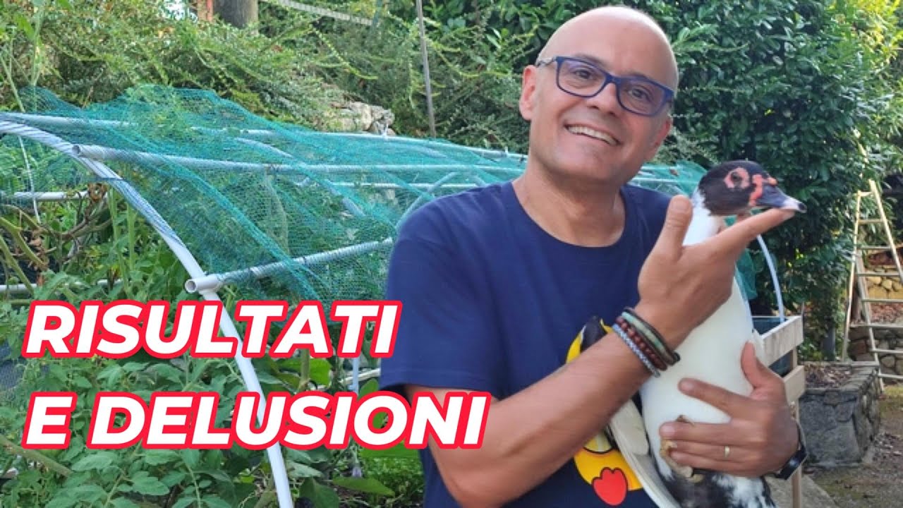 RISULTATI E DELUSIONI  dei miei lavori