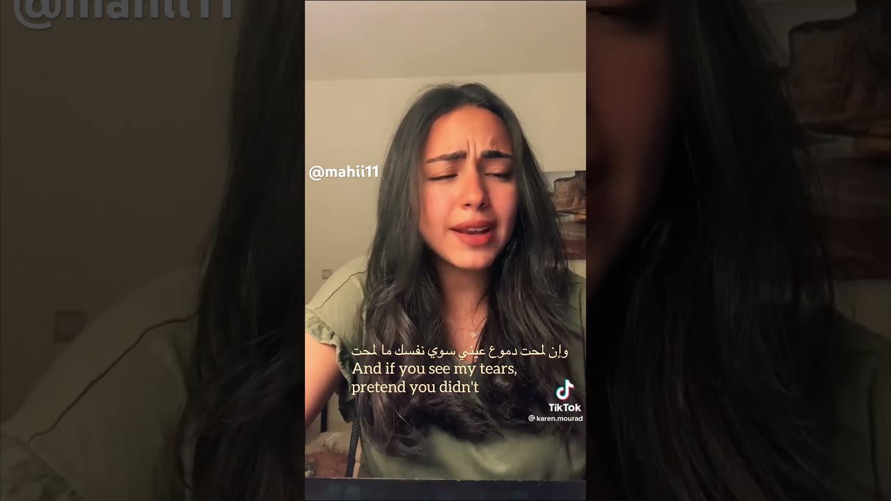 Take me in your arm Arabic (Saab) W/translation