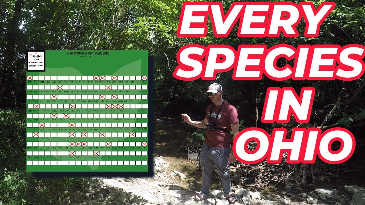 Catching EVERY Fish Species In Ohio: Episode 1 - In The Beginning