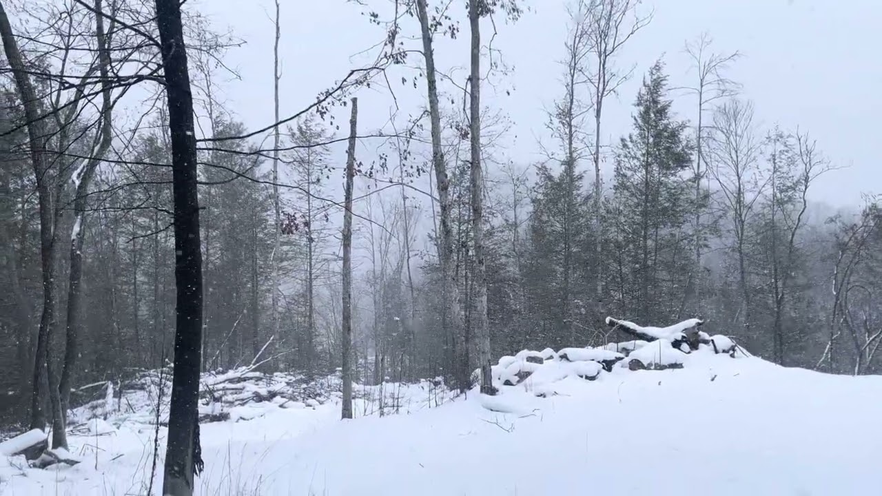 Walk in the turn spot to graveyard! “ Squatch holler”