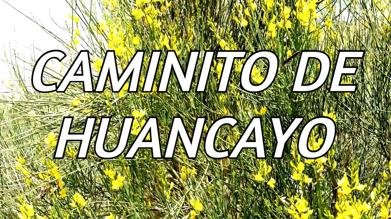 CAMINITO DE HUANCAYO - ESTUDIANTINA SAUÑE