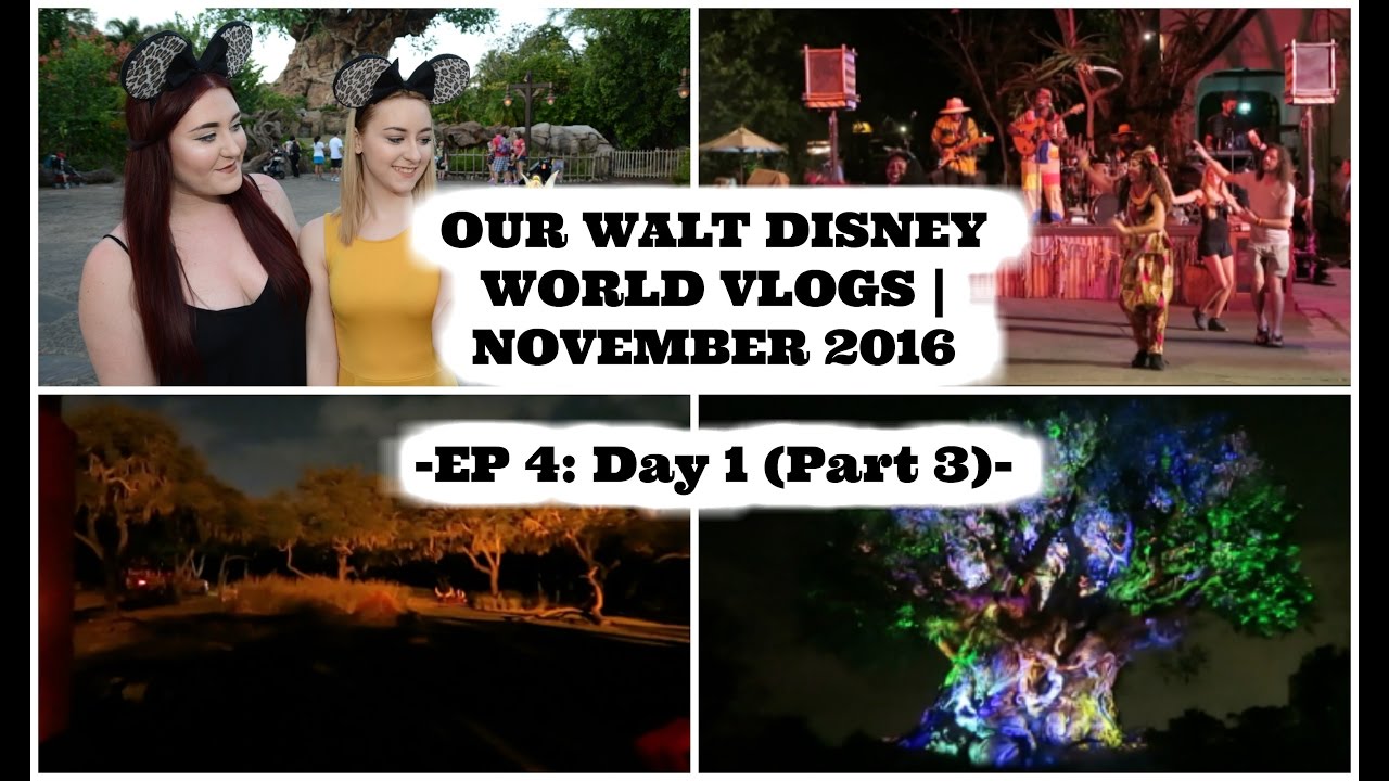 OUR WALT DISNEY WORLD VLOGS | NOVEMBER 2016 | EP: 4 - DAY 1 (PART 3)