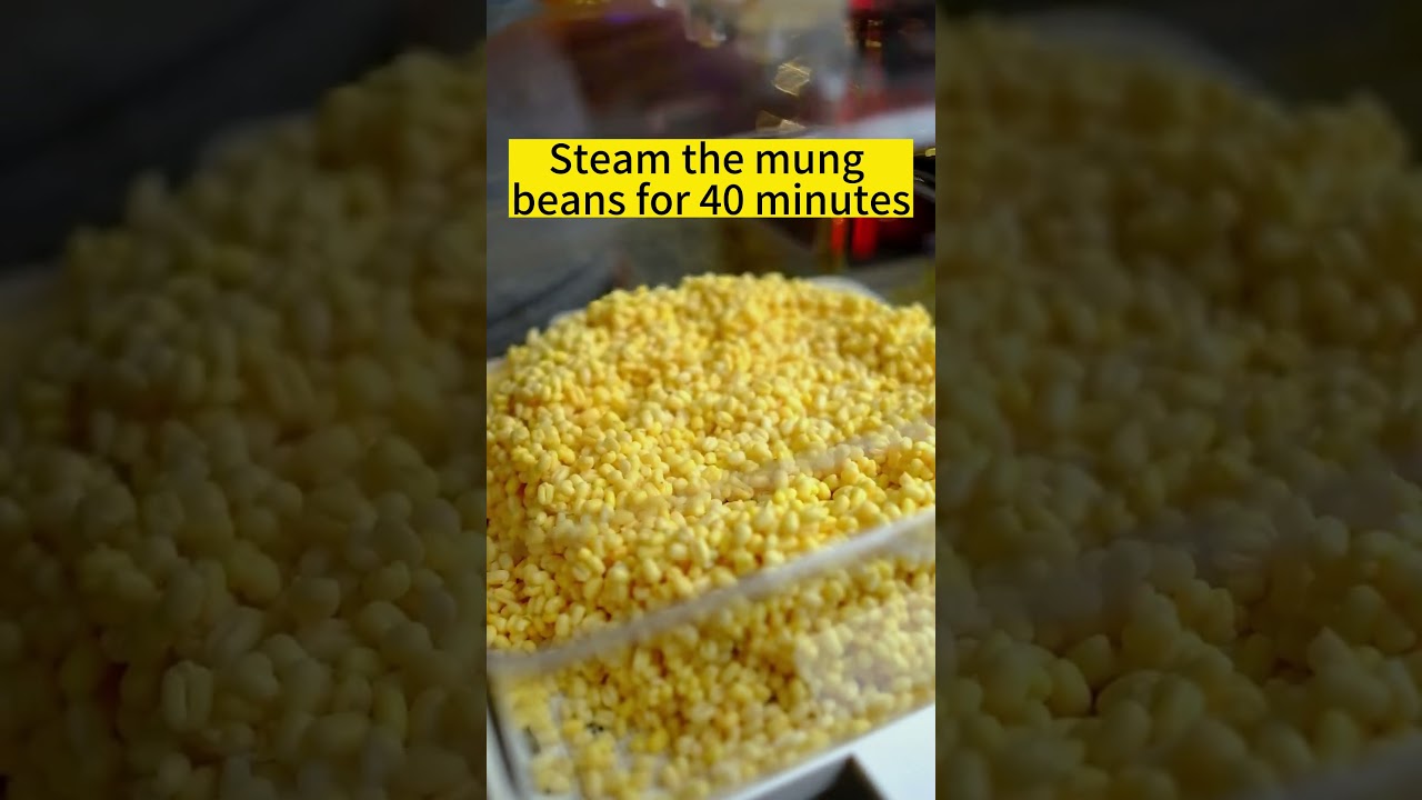 Chinese Mung Bean Cake