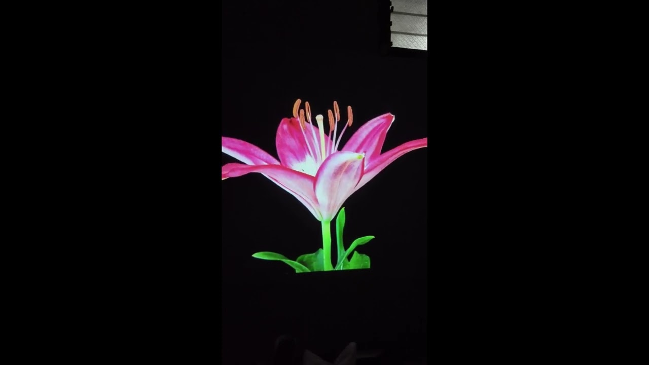 Test kualitas gambar proyektor Eroc Max