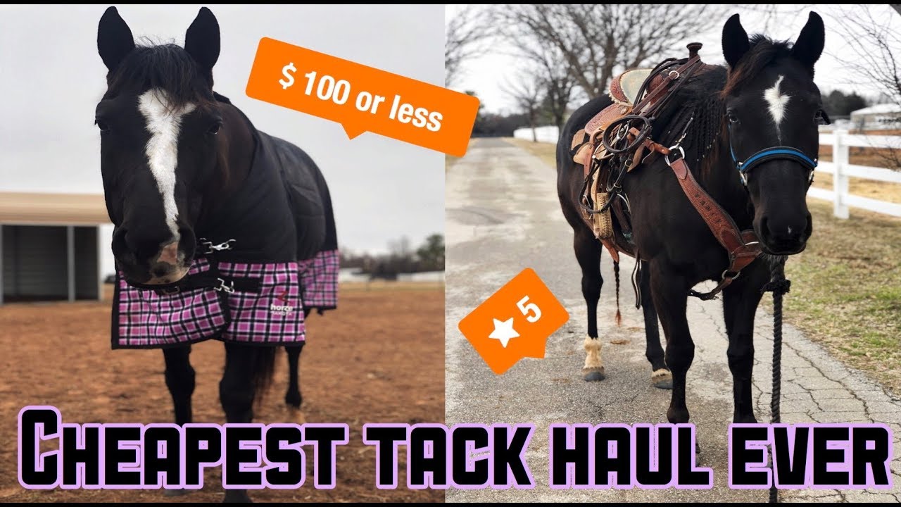 MY FIRST TACK HAUL (SUPER AFFORDABLE)
