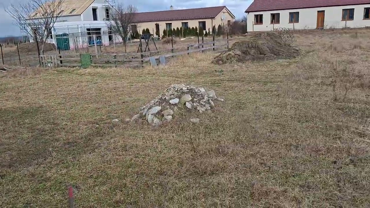 20260215 110830