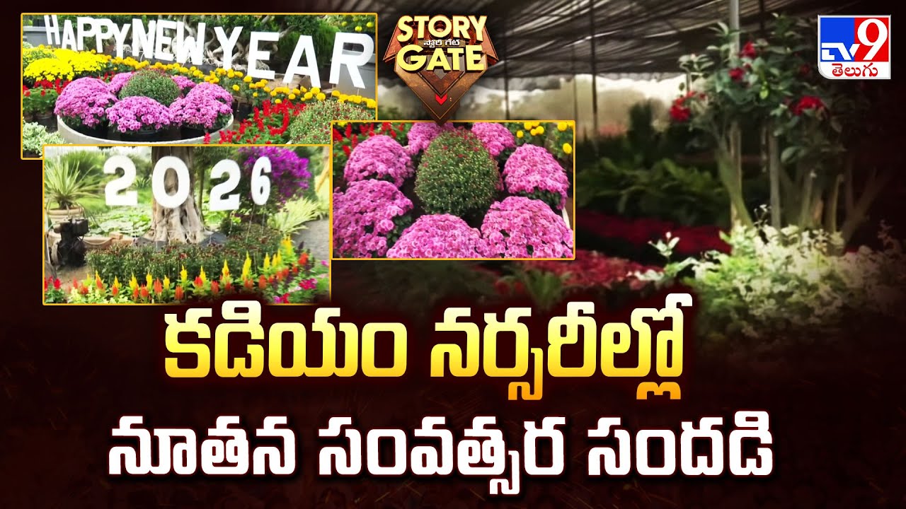 Kadiyam Nursery : కడియం నర్సరీల్లో నూతన సంవత్సర సందడి - TV9