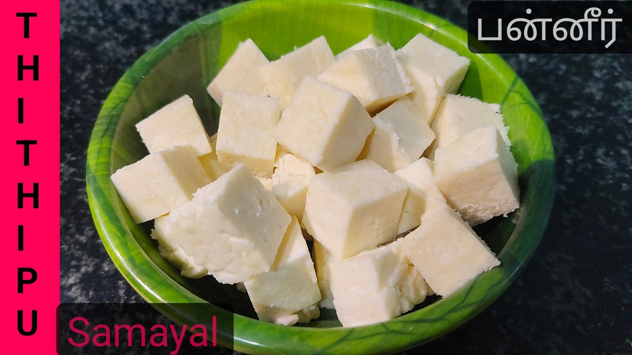 Paneer Recipe in Tamil | How to Make Paneer Recipe at home in Tamil