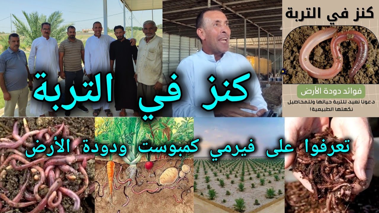 فيرمي كمبوست Vermicompost سماد دودة الأرض كنز في التربة يحتوي جميع العناصر المغذية للنبات شاهد العجب