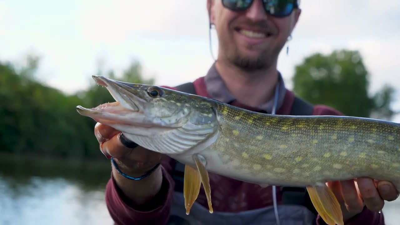 Session multicarnassiers avec mes amis, les poissons sont au rendez-vous (1/3)