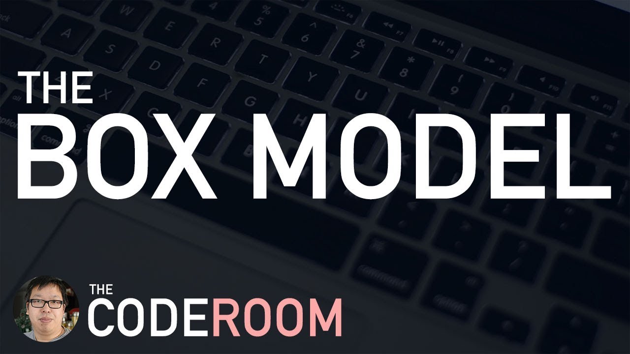 The Box Model | The Coderoom