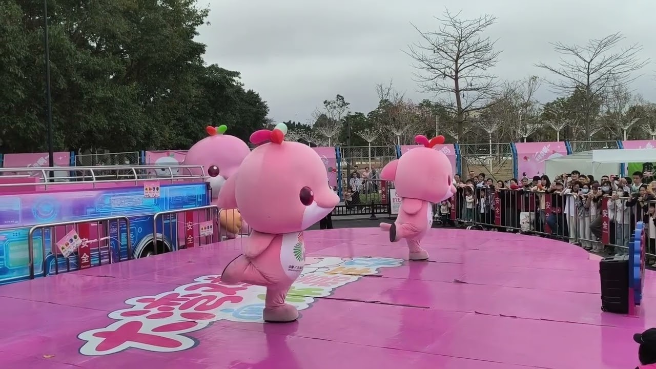 宝宝鸡舞团真的是实至名归 宝宝好厉害