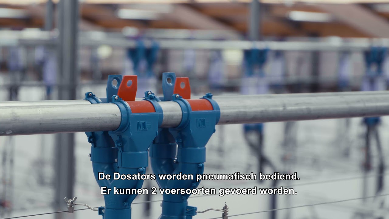 Een nieuwe moderne kraamstal met het VDL600 buisvoer systeem