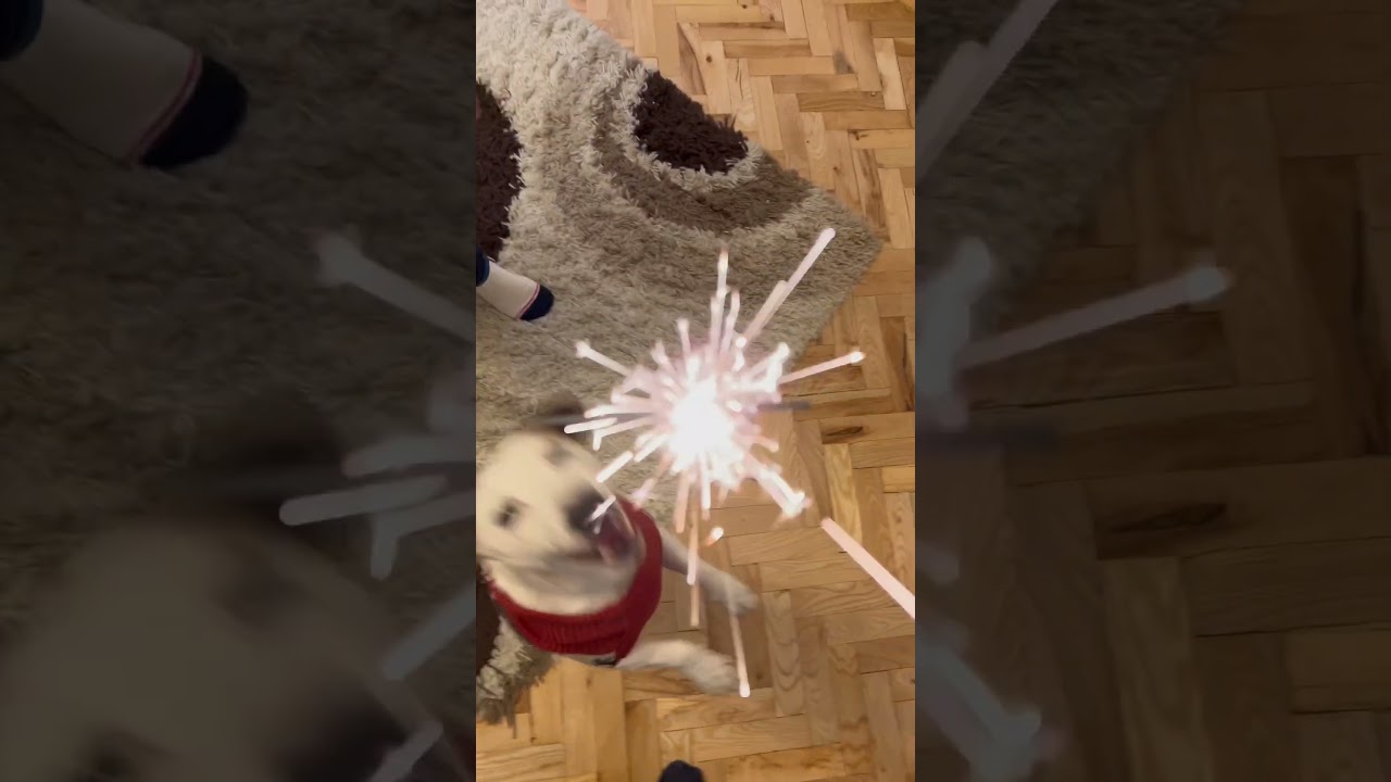 MAX Skocko