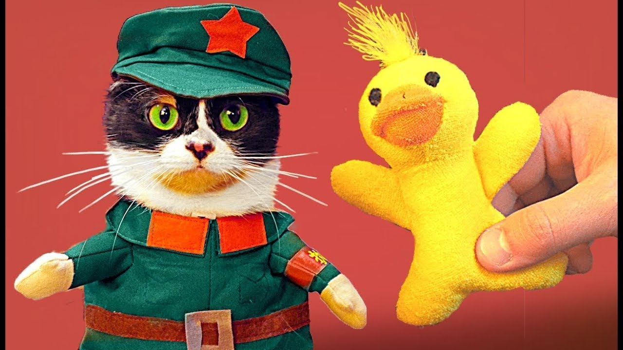 7 GADGETS DONT TOUT LE MONDE A BESOIN
