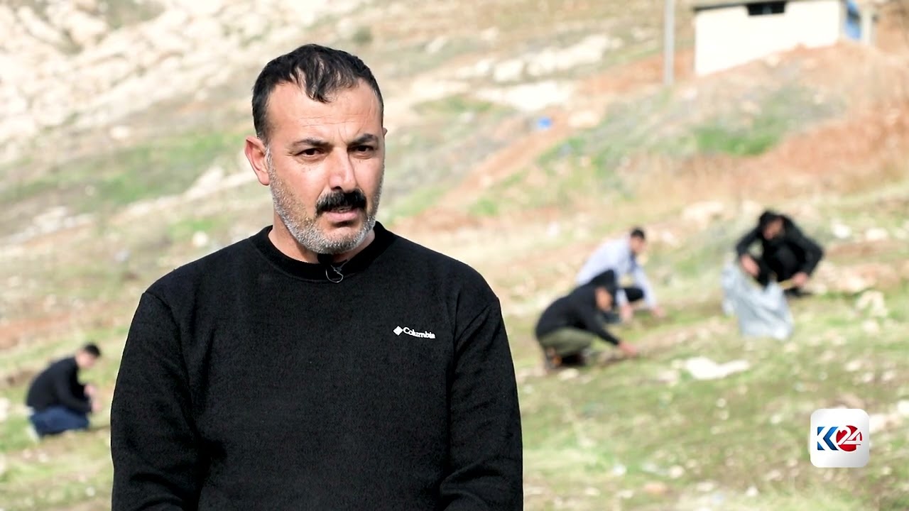 هاووڵاتییەکی دهۆک پێنج ساڵە بەڕوو لە چیاکان دەچێنێت