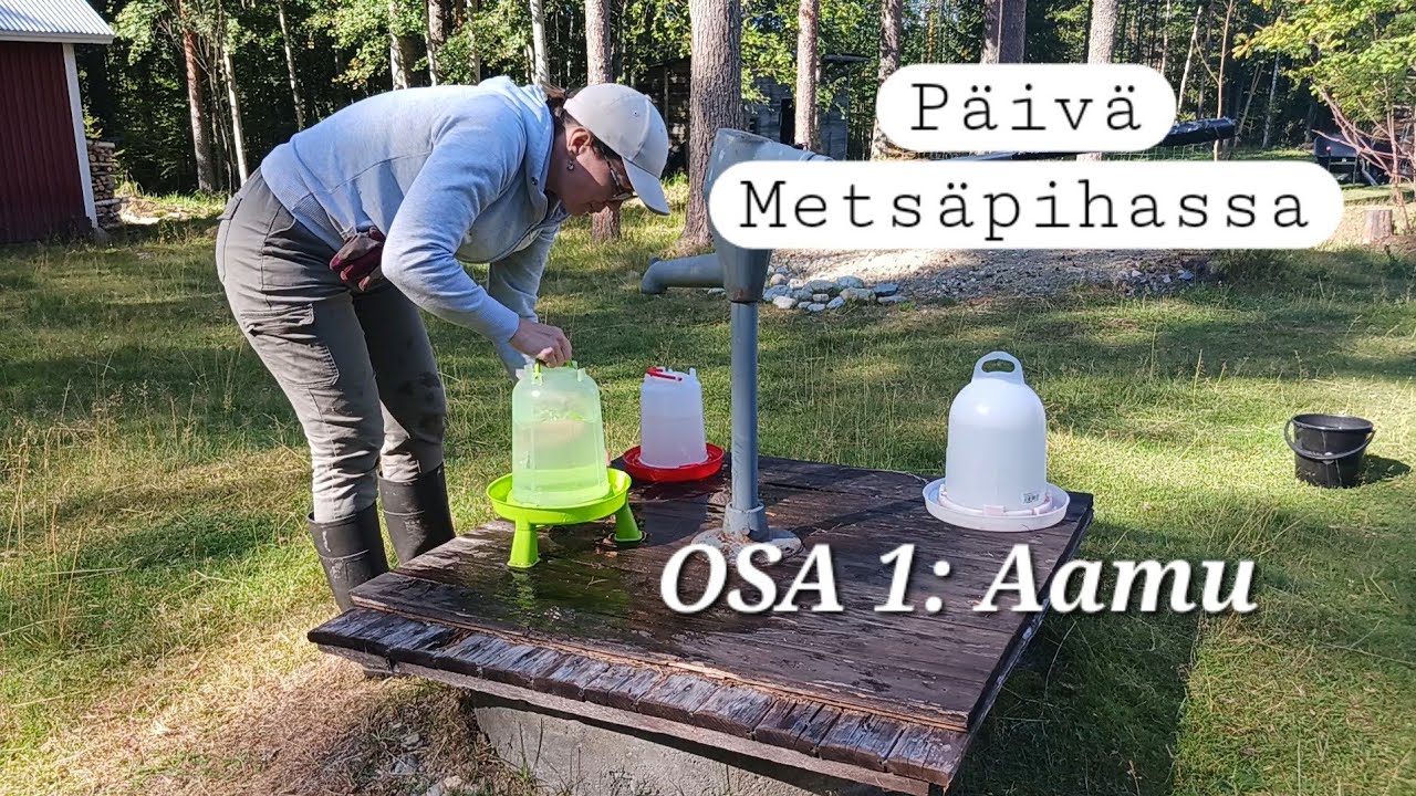 Päivä Metsäpihassa.                                                 OSA 1: Aamu