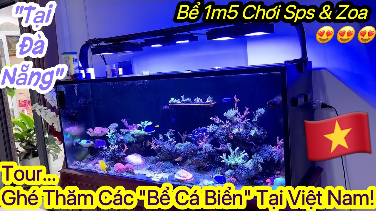 Bể Cá Biển 1m5 Chuyên 