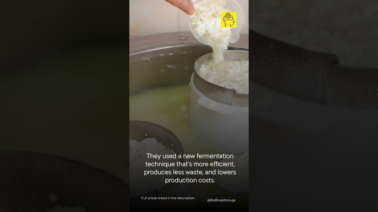Smarter Yogurt #biobreakthroughs #science #biotech #biotechinnovation #facts #microbiology