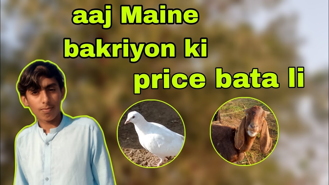 Aaj mane bakriyon ki price bata li🐐🐐