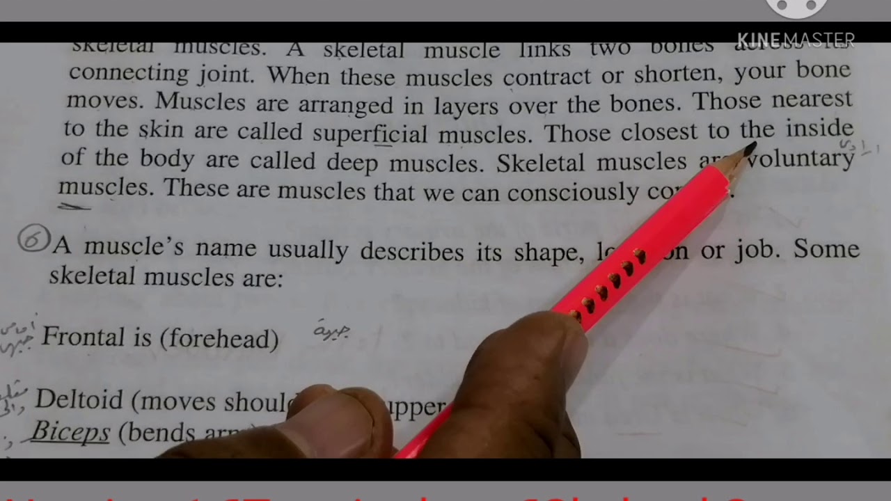 الأول تمريض ¶ترمنولوجي ¶الوحدة 7¶الجهاز الهيكلي/العظمى. Nursing 1¶Terminology¶Skeletal System