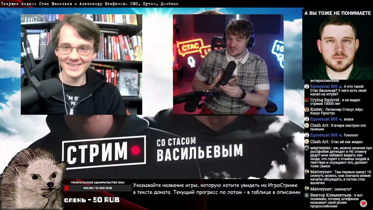 Еж смотрит Стаса у Штефанова