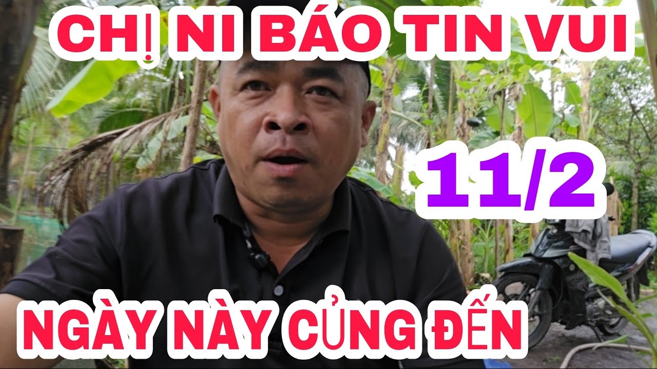 TRƯA 11/2 CHỊ NI BÁO TIN VUI VỊT BÂN THÔI XONG LUÔN 