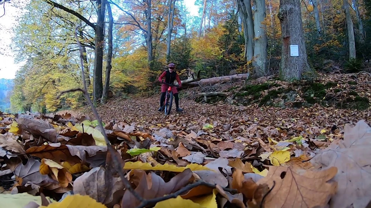 Herbst-Trailtour nach Hohenwart und Bad Liebenzell am 07.11.2020