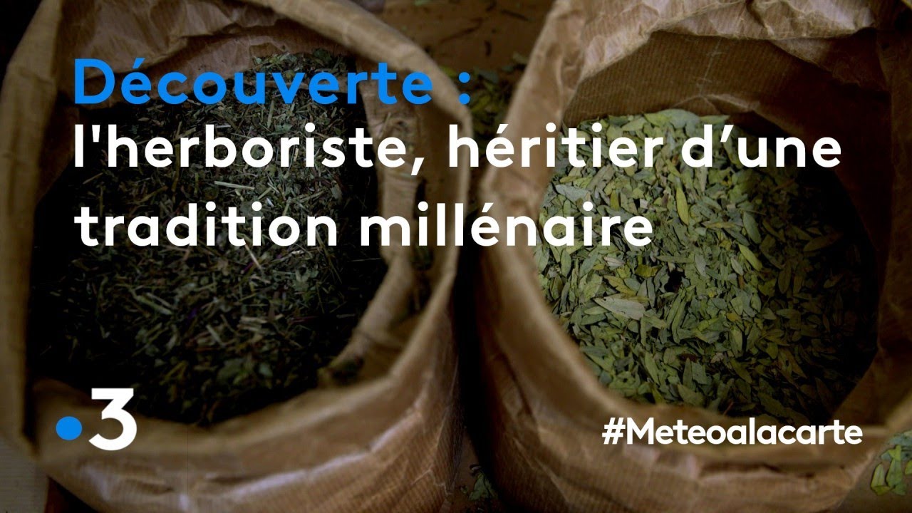L'herboriste, h&eacute;ritier d&rsquo;une tradition mill&eacute;naire - M&eacute;t&eacute;o &agrave; la carte