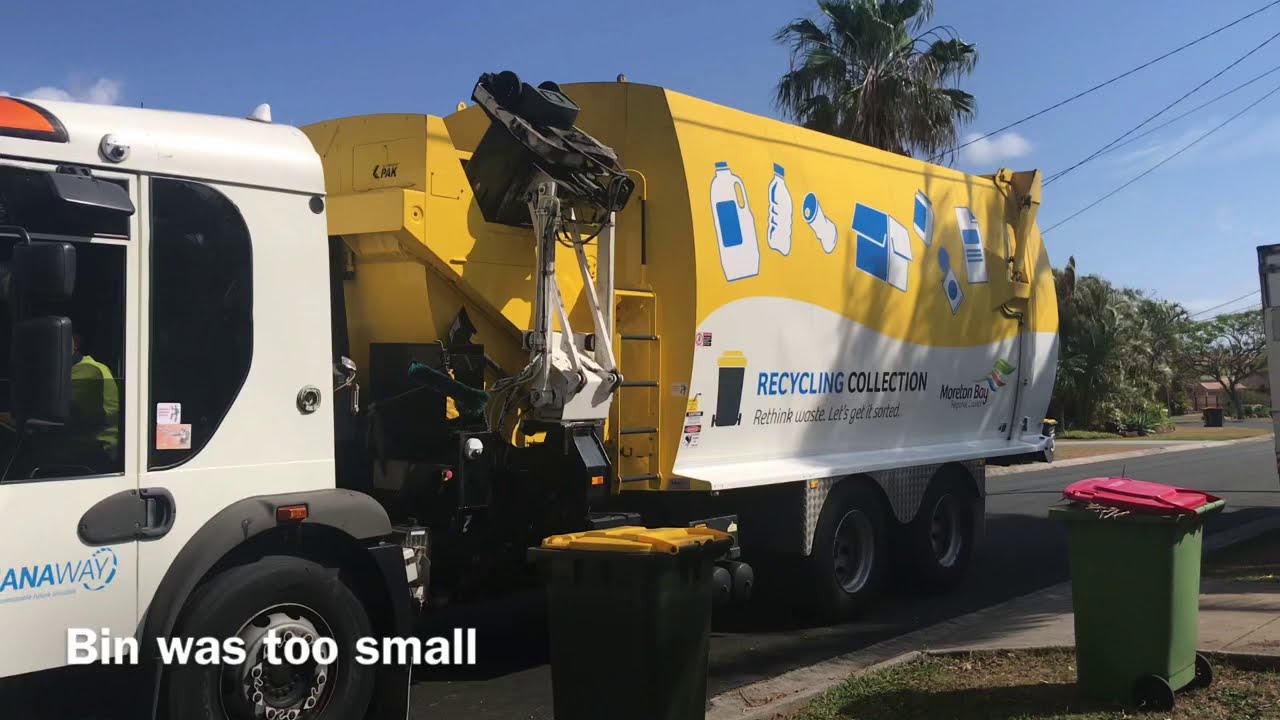 Bin fails 2019/2020