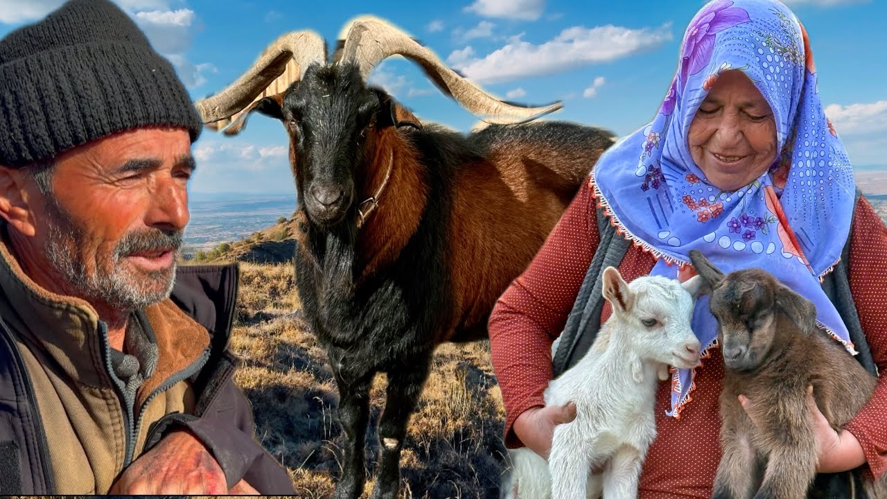 ÇOÇUKLARI İÇİN AYRI DAĞLARDA YAŞIYORLAR / HANIM ANA VE MEHMET DEDE’ NİN YAŞAM HİKAYESİ 