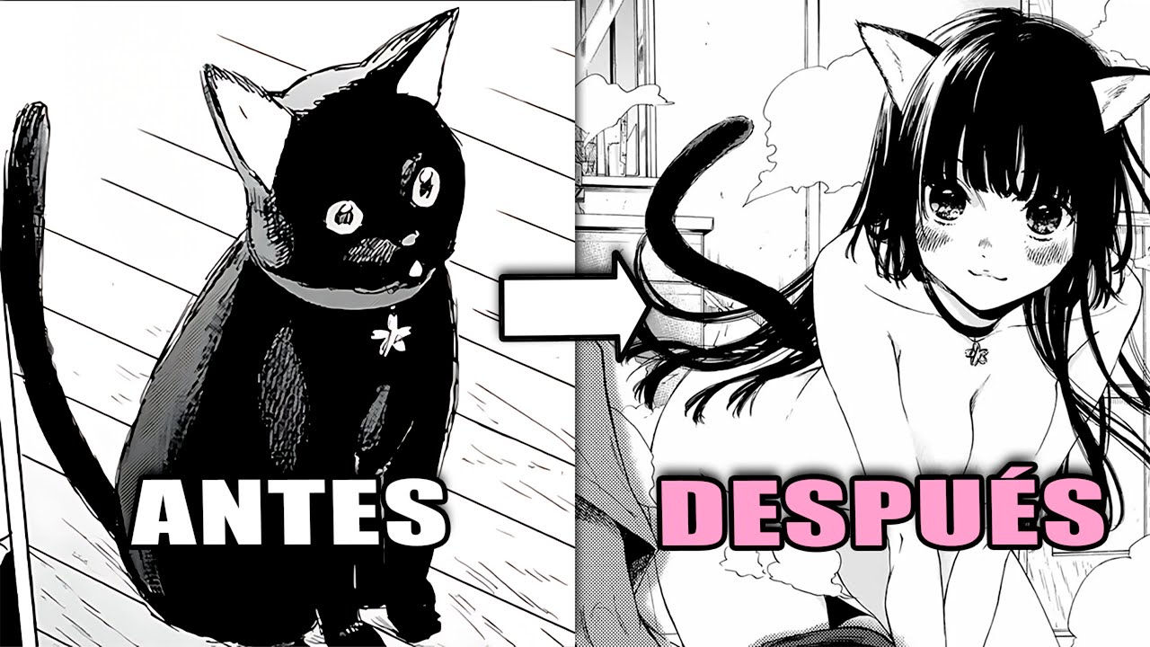 ¡Mi gata se volvió una chica hermosa!  | Resumen del Manga