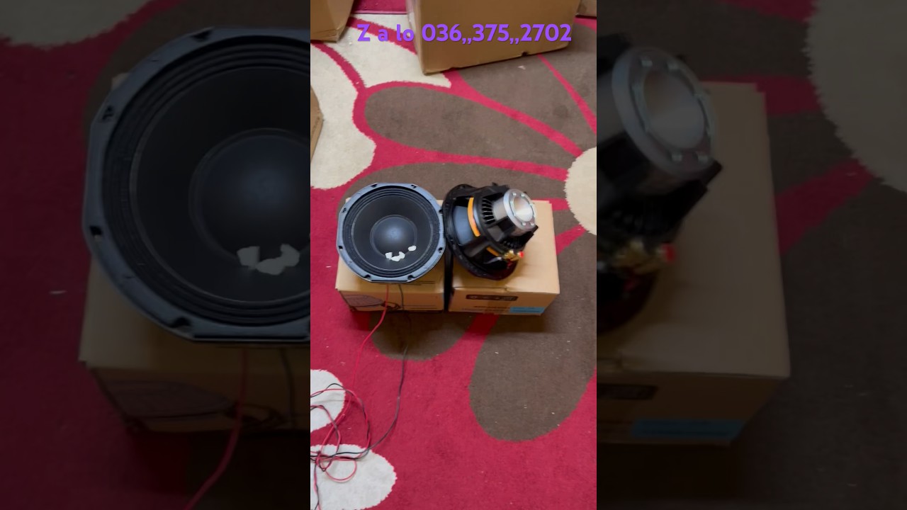 Test Mộc, Loa Bass 20 Neo Hiwell, Model : 8NDF65M1, coil 65 