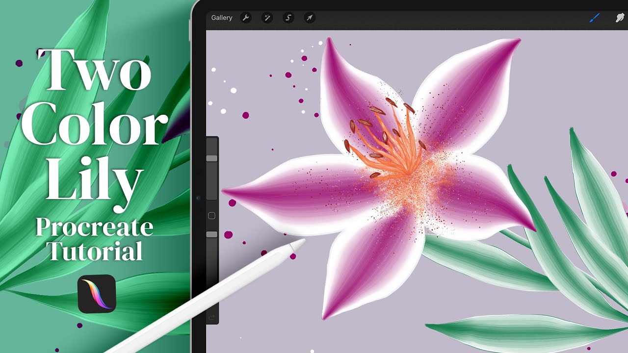 Двухцветная лилия — урок цифровой живописи в Procreate — нарисуйте лилию белым и другим цветом.