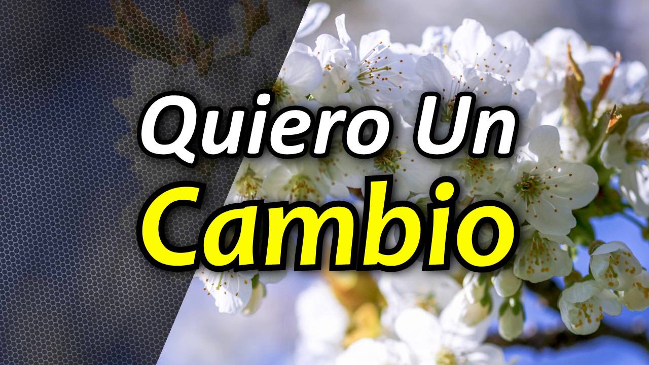 Cómo Cambiar mi Vida para Mejor - Por Louise Hay