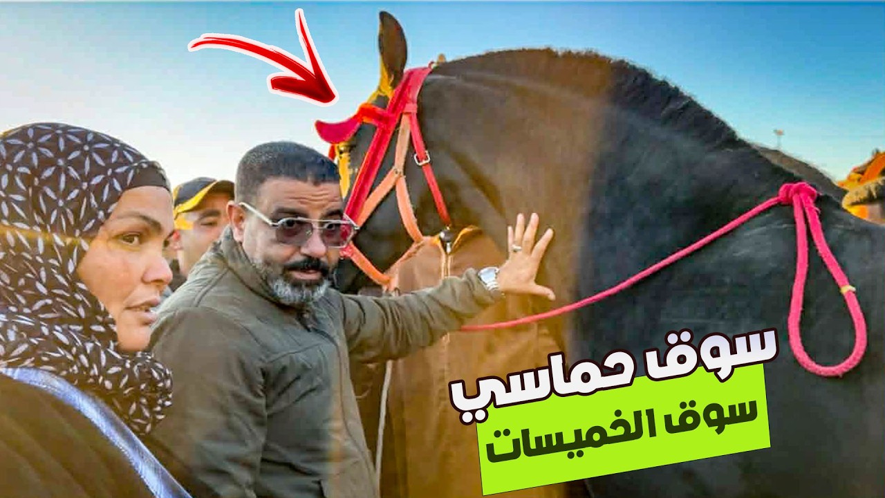 🚨سوق الخميسات اليوم حماسي اثمنة الخيوول لذخلات لرحبة ناس و الحرايفية بغاو المليح 👌