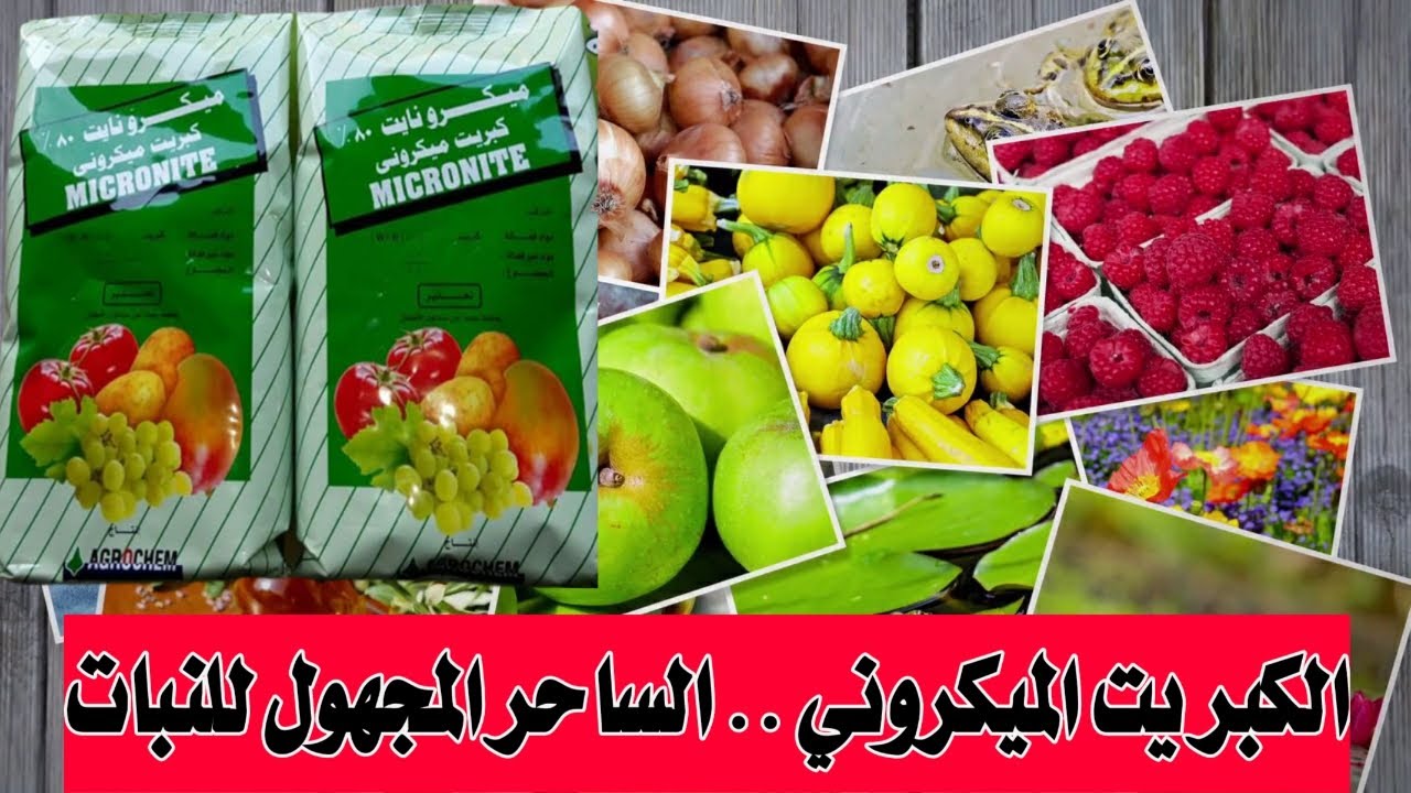 سماد الخضر و الفاكهة | الساحر المجهول | الكبريت الميكروني تعرف على مميزاته و معدلات إستخدامه