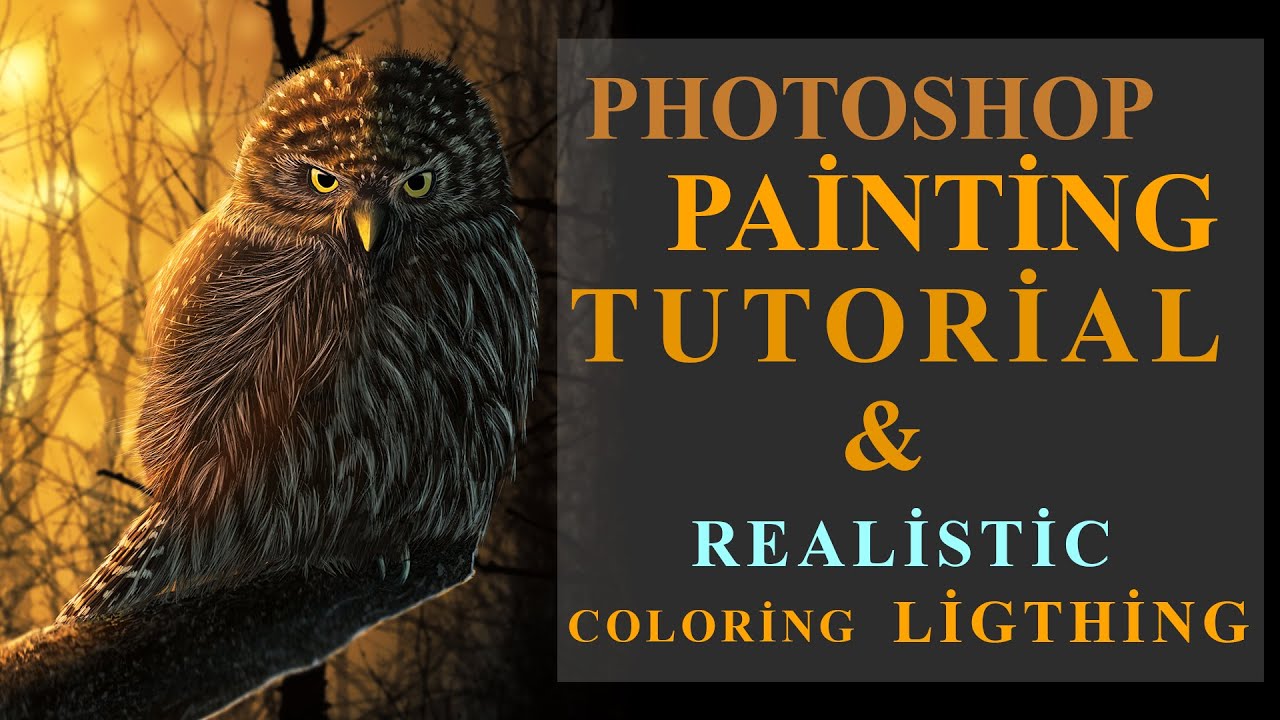 Snowy Owl Illustration Process - Sketching on Photoshop & Coloring Speed Art