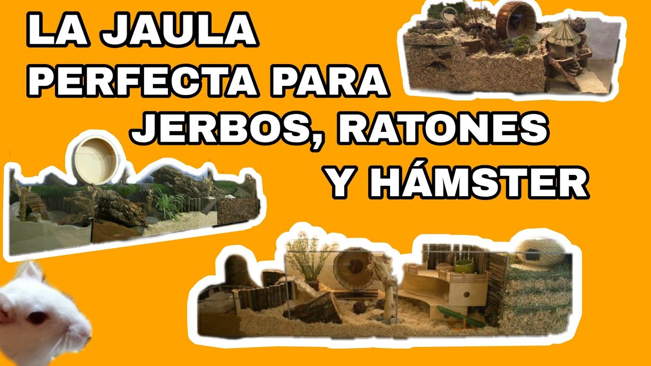 Jaulas adecuadas para jerbos, ratones y hámster