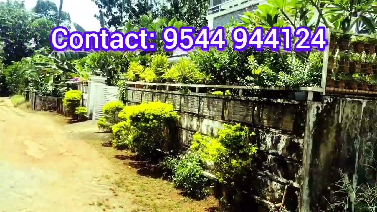 സെൻറിന് 3 ലക്ഷം ഹൈവേയിൽ നിന്നും 100 മീറ്റർ പെരുമ്പാവൂർ - Ekm
