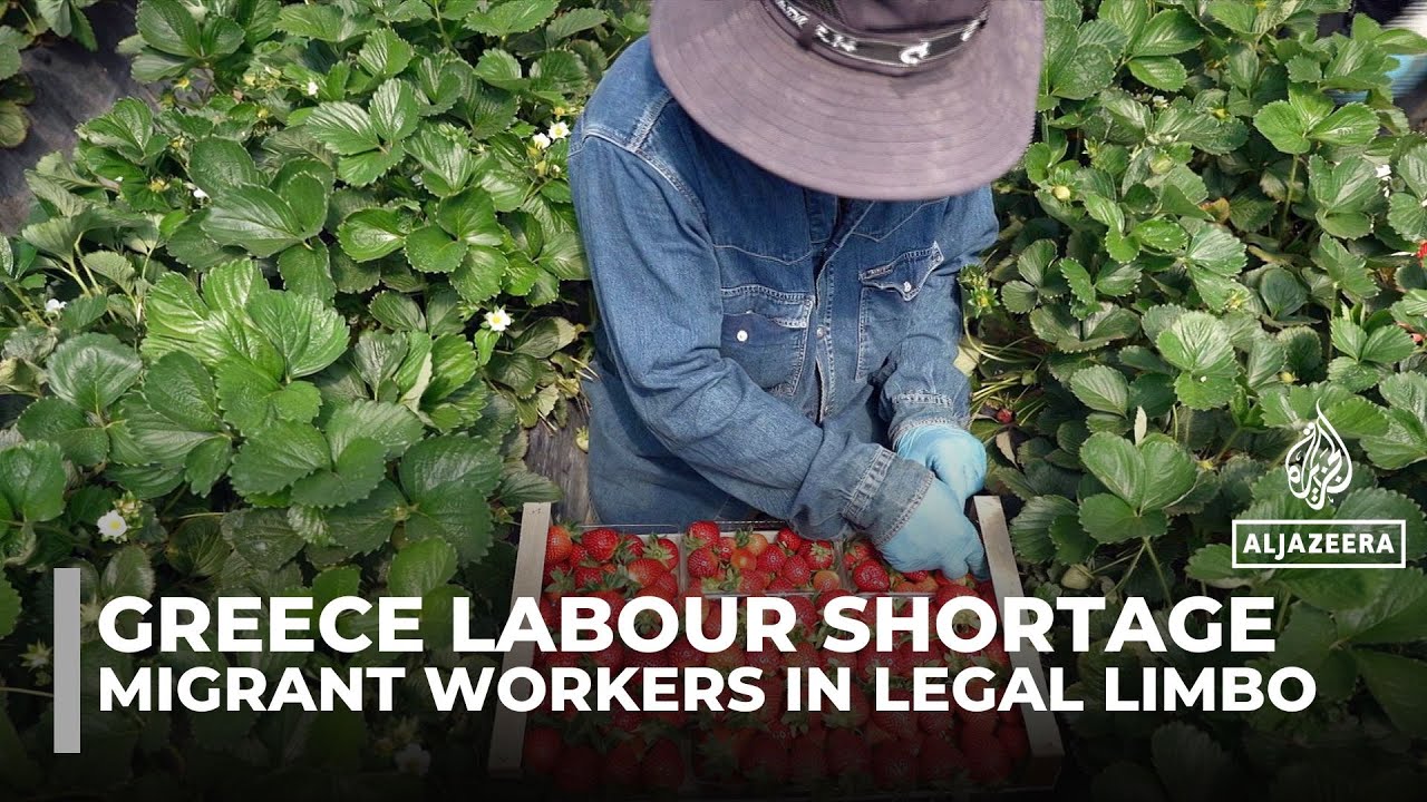 Greece faces labour shortage as migrant workers toil in limbo, lacking rights and legal status