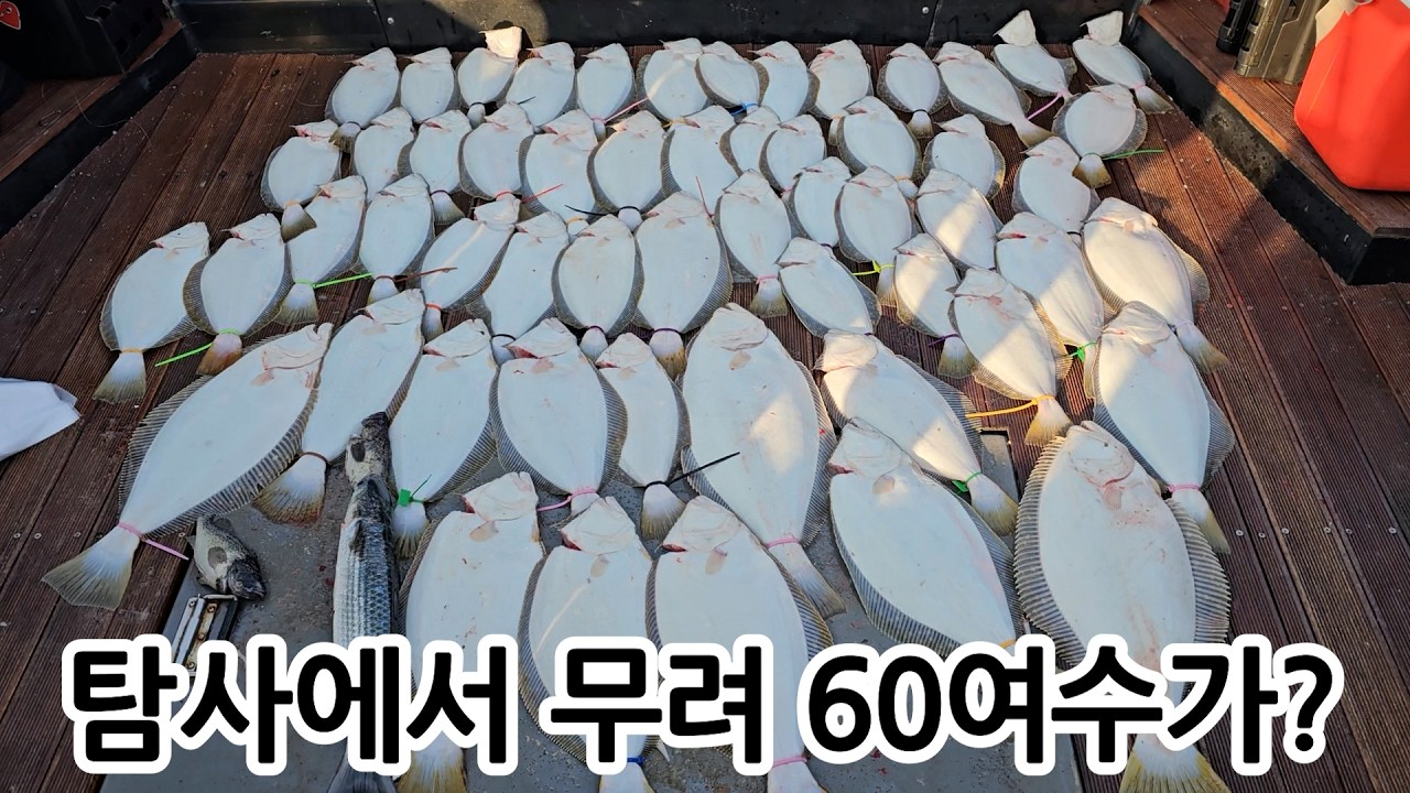 보령권 광어다운샷 올해 조황 심상치 않습니다 / 입문자용 10만원대 광따 로드,릴 세트 추천 / 오천항 어게인호