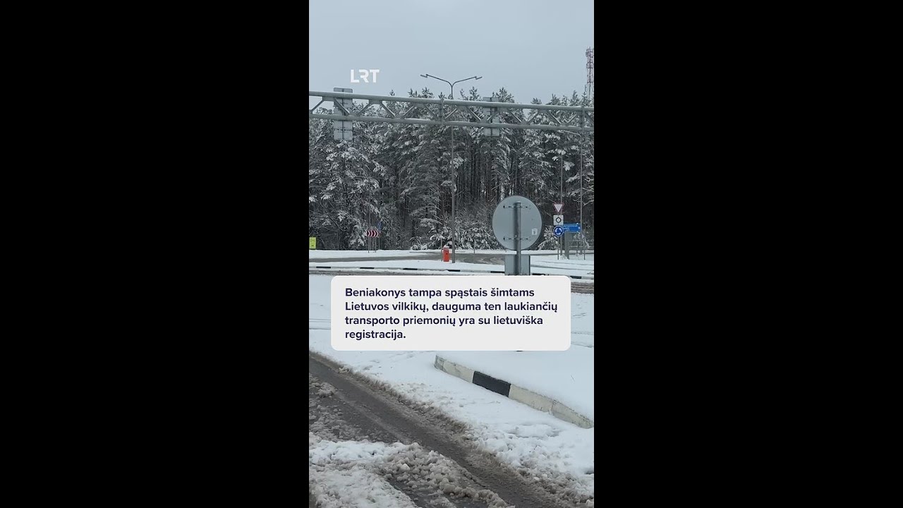 Atidarius pasienio postus su Baltarusija, įstrigę Lietuvos vilkikai kol kas nebegrįžta
