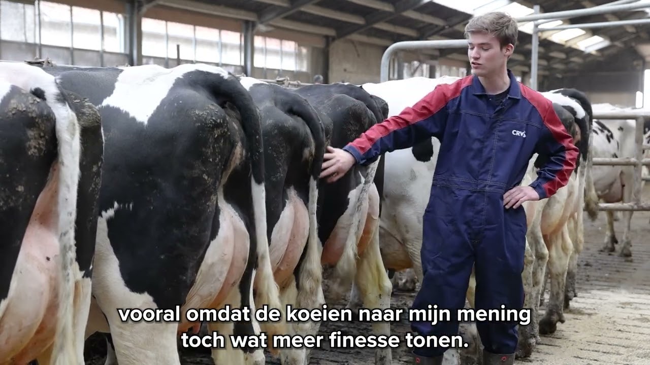 Robbe Roose kiest voor Amerikaanse genetica van CRV
