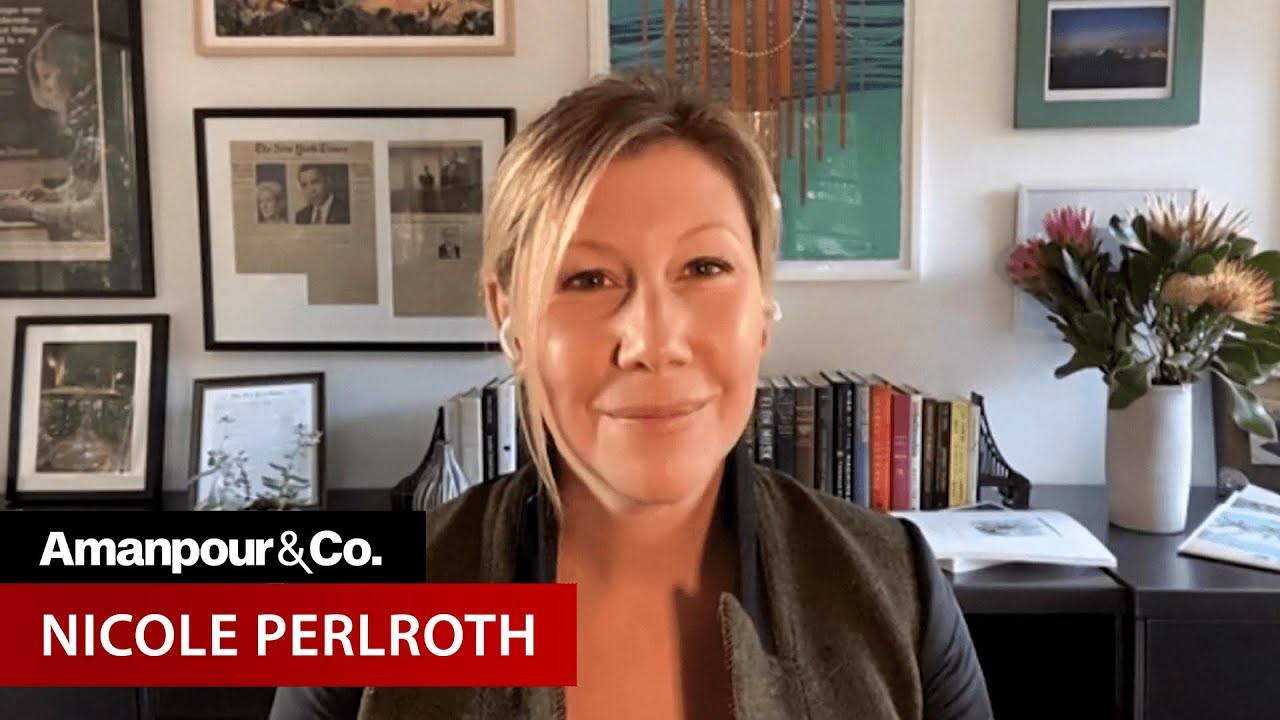 Nicole Perlroth: 