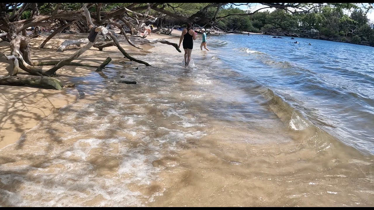 Waikaloa Beach Fairway Villas Grounds Tour | Waikaloa Petroglyph Reserve | Fun at Beach 69!