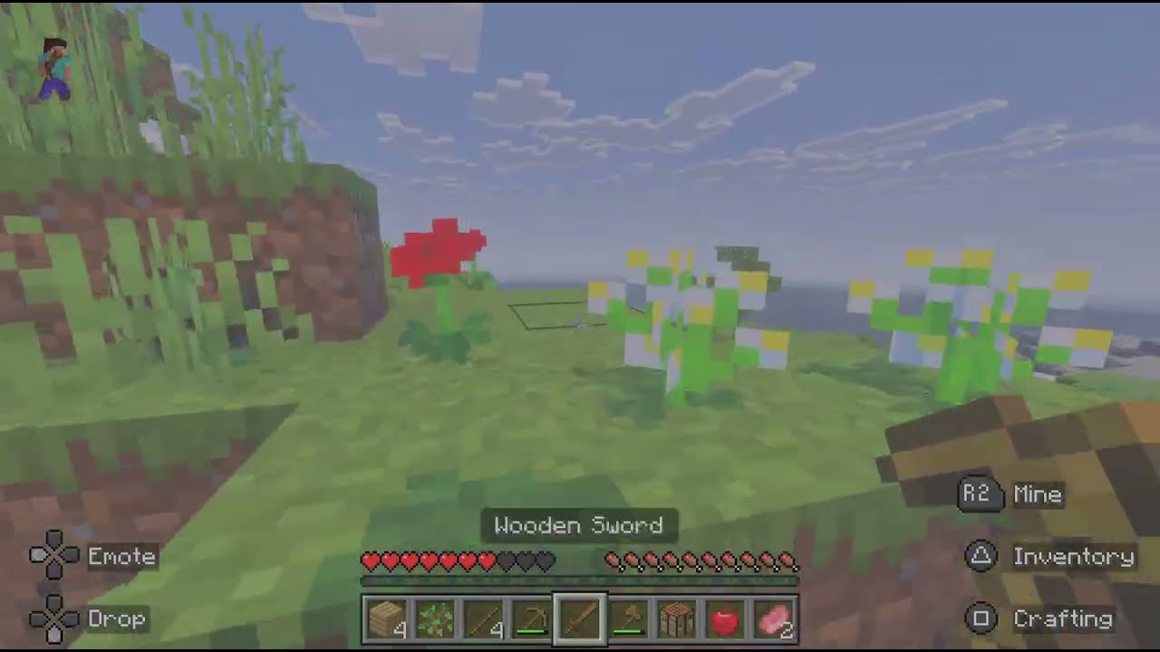 Minecraft survival
